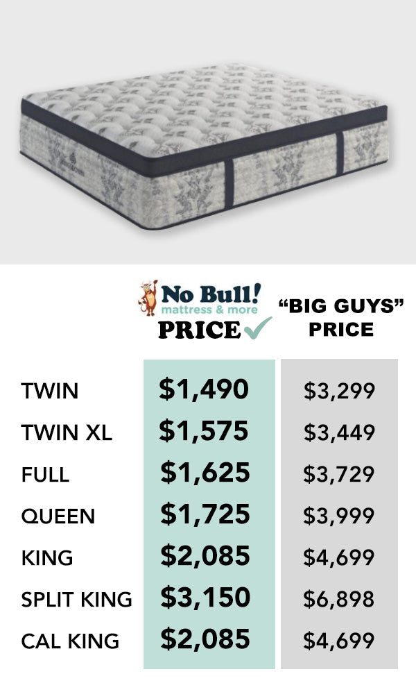 16” Plush Euro Top